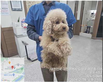대전동물보호센터_430367202400102